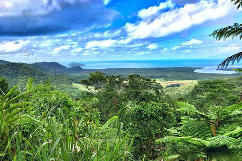 Private Daintree National Park Day Tour From Cairns Including Cape Tribulation And Mossman Gorge - Accommodation Port Hedland 2
