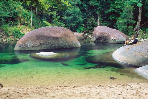 Private Daintree National Park Day Tour From Cairns Including Cape Tribulation And Mossman Gorge - Accommodation Port Hedland 4