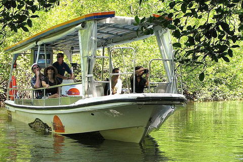 Private Daintree National Park Day Tour From Cairns Including Cape Tribulation And Mossman Gorge - Accommodation Port Hedland 5
