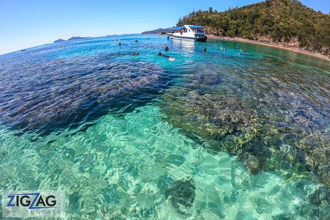 Whitehaven Beach Day Tour With Snorkel In Whitsundays Island - Accommodation Port Hedland 5