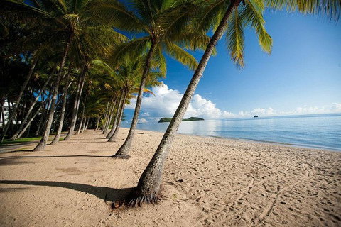 Kuranda Day Trip From Port Douglas Upgrade To Skyrail & Scenic Train Available - Accommodation Port Hedland 1