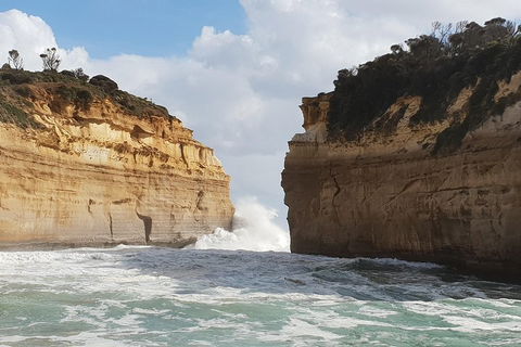 12 Apostles Tour From Warrnambool - Accommodation Port Hedland 2