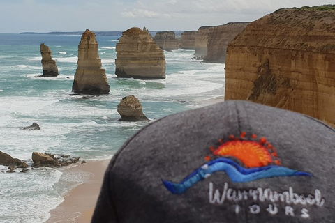 12 Apostles Tour From Warrnambool - Accommodation Port Hedland 4