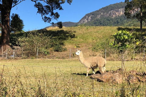Waterfall Tour - Accommodation Port Hedland 2