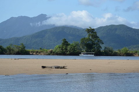 Afternoon Half-Day Daintree Rainforest And River Tour - Accommodation Port Hedland 2