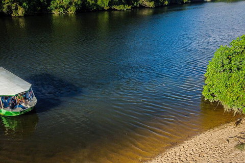 Afternoon Half-Day Daintree Rainforest And River Tour - Accommodation Port Hedland 3
