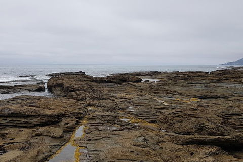 Luxury Private Great Ocean Road Tour Up To 11 People - Entire Vehicle - Accommodation Port Hedland 1