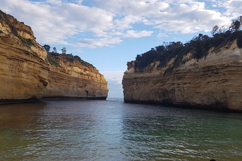 Luxury Private Great Ocean Road Tour Up To 11 People - Entire Vehicle - Accommodation Port Hedland 2