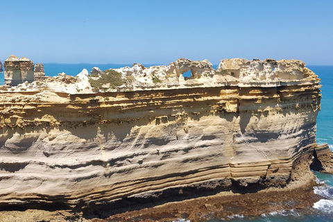 Luxury Private Great Ocean Road Tour Up To 11 People - Entire Vehicle - Accommodation Port Hedland 4