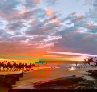 1 Hour Broome Sunset Camel Tour - Accommodation Port Hedland