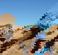 Broome Pre-sunset Camel Tour 30 minutes - Accommodation Port Hedland