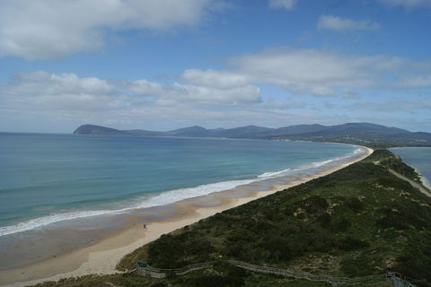 7-Day Best Of Tasmania Adventure Experience From Hobart (flexible Ticket) - Accommodation Port Hedland 2