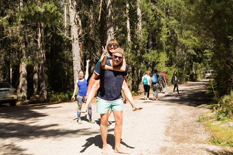 7-Day Best Of Tasmania Adventure Experience From Hobart (flexible Ticket) - Accommodation Port Hedland 5