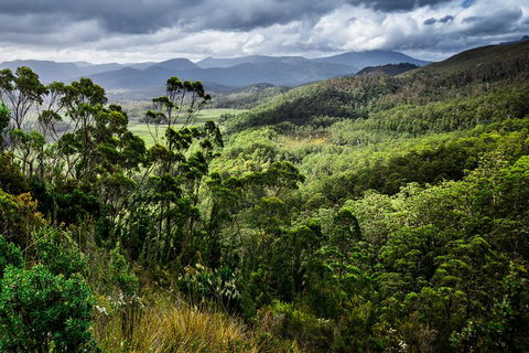 5-Day Lap Of Tasmania Tour From Hobart (flexible Ticket) - Accommodation Port Hedland 2