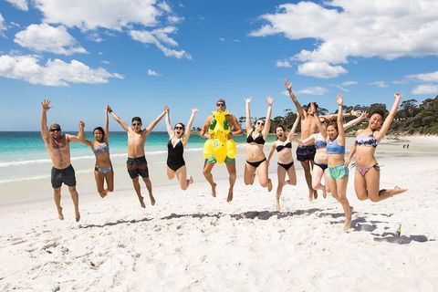5-Day Lap Of Tasmania Tour From Hobart (flexible Ticket) - Accommodation Port Hedland 4