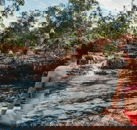 Litchfield National Park Day Tour from Darwin With Waterfalls And Buley Rockhole - Accommodation Port Hedland