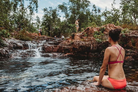 Litchfield National Park Day Tour From Darwin With Waterfalls And Buley Rockhole - Accommodation Port Hedland 0