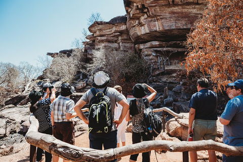 Kakadu Full-Day Tour From Darwin With Lunch - Accommodation Port Hedland 1