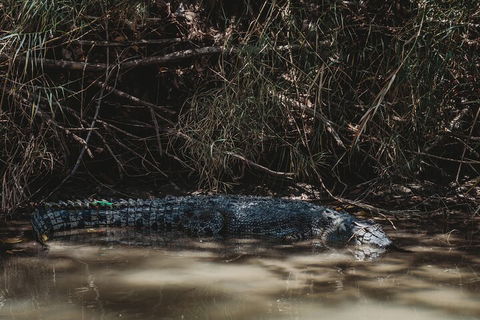 Kakadu Full-Day Tour From Darwin With Lunch - Accommodation Port Hedland 4