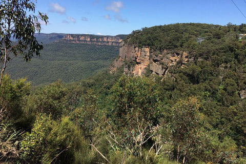 Full-Day Private Blue Mountains Tour With River Cruise - Accommodation Port Hedland 1