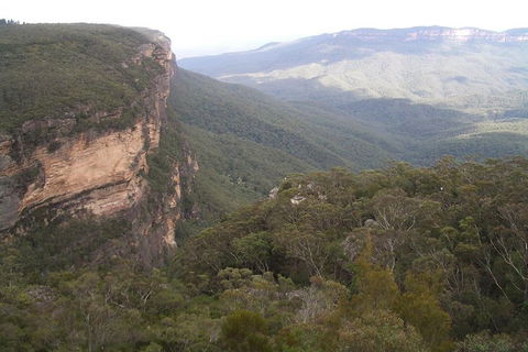 Full-Day Private Blue Mountains Tour With River Cruise - Accommodation Port Hedland 3