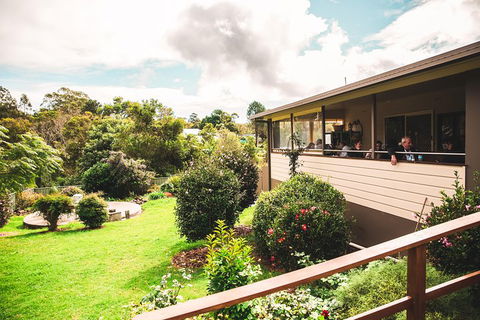 Full-day Springbrook National Park Tour From The Gold Coast - Accommodation Port Hedland 2