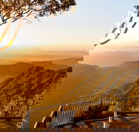 O'Reilly's  Lamington National Park incl. Alpaca Farm  Vineyard - Accommodation Port Hedland
