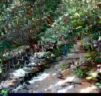 Fraser Island 4WD Tour from Rainbow Beach - Accommodation Port Hedland