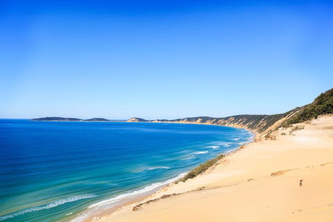 Kayak With Dolphins And 4WD Great Beach Drive Day Trip From Noosa - Accommodation Port Hedland 0