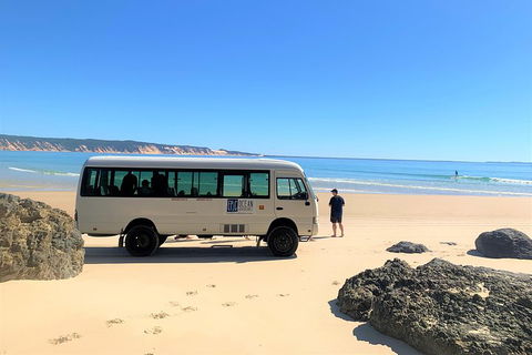 Kayak With Dolphins And 4WD Great Beach Drive Day Trip From Noosa - Accommodation Port Hedland 4