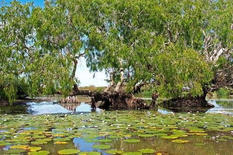 Ethical Adventures - Best In The WET - Litchfield / Kakadu 3 Day- Max 10 Guests - Accommodation Port Hedland 1