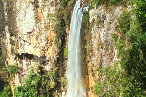 Natural Arch, Rainforest & Volcano Canyon - Private Half Day Tour - Accommodation Port Hedland 2