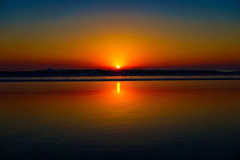 Glow Worms Private Tour - Nocturnal Rainforest Walk - Accommodation Port Hedland 3