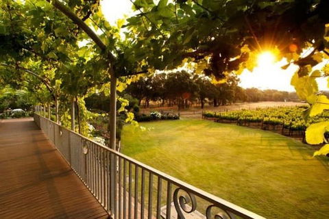 Busselton Jetty + Train Ride + Winery + Scenic Drive Full Day Tour - Accommodation Port Hedland 1