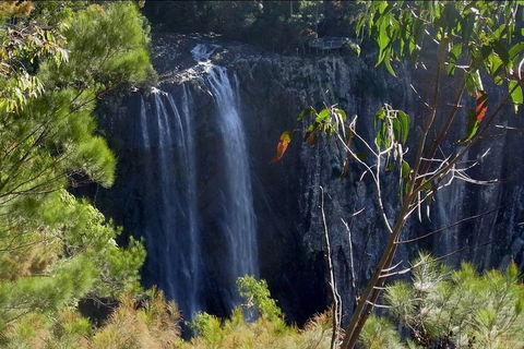 Byron Bay Hinterland Tour Including Rainforest Walk To Minyon Falls - Accommodation Port Hedland 0
