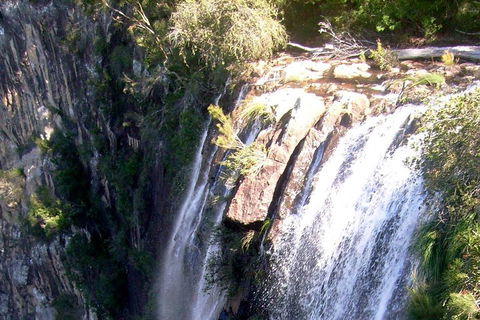 Byron Bay Combo: Hinterland Tour Including Minyon Falls And Kayaking With Dolphins - Accommodation Port Hedland 3