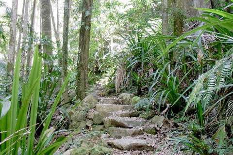 Byron Bay Combo: Hinterland Tour Including Minyon Falls And Kayaking With Dolphins - Accommodation Port Hedland 5