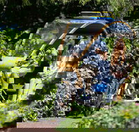 Adelaide 90-Minute Pedicab Tour Scenic Green  River Experience - Accommodation Port Hedland