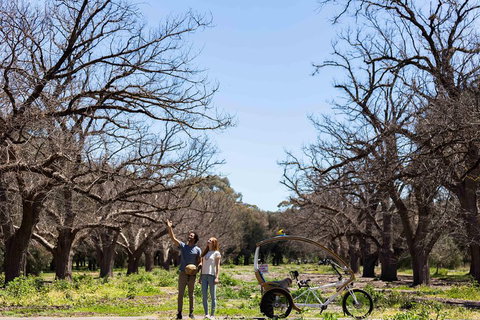 Adelaide 90-Minute Pedicab Tour: Scenic Green & River Experience - Accommodation Port Hedland 1