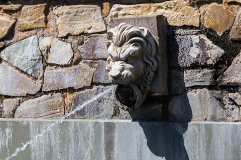 Adelaide 90-Minute Pedicab Tour: Scenic Green & River Experience - Accommodation Port Hedland 3