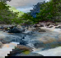 Cape Tribulation Day Tour - Accommodation Port Hedland