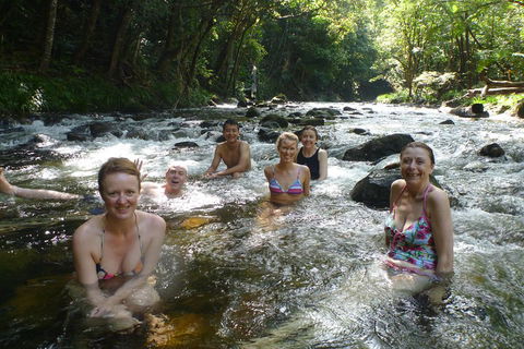 Daintree Rainforest, Cape Tribulation, Mossman Gorge Small-Group Day Tour - Accommodation Port Hedland 0