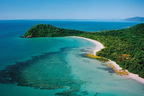 Daintree Rainforest, Cape Tribulation, Mossman Gorge Small-Group Day Tour - Accommodation Port Hedland 4