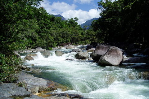 Daintree Rainforest, Cape Tribulation, Mossman Gorge Small-Group Day Tour - Accommodation Port Hedland 5