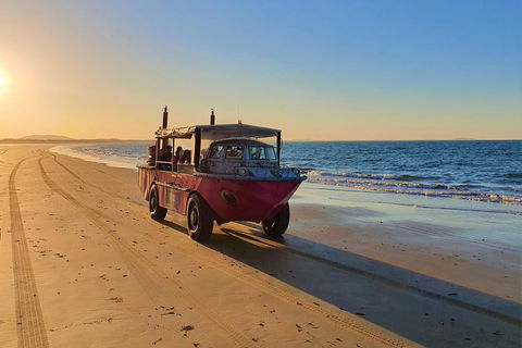 Town Of 1770 Afternoon Cruise - Accommodation Port Hedland 1