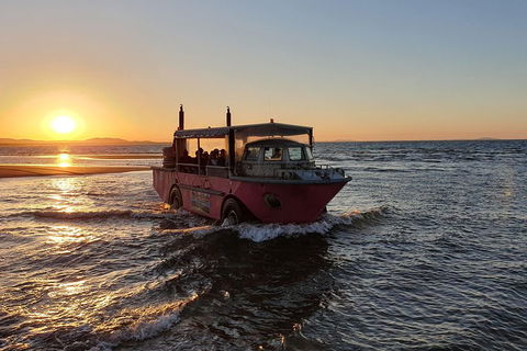 Town Of 1770 Afternoon Cruise - Accommodation Port Hedland 3