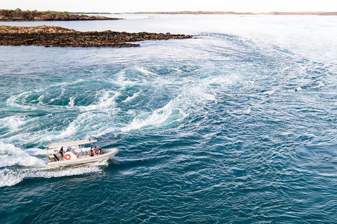 Giant Tides Tour - Cygnet Bay Pearl Farm - Accommodation Port Hedland 4