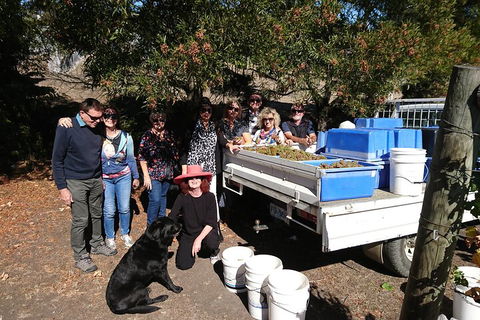 Valleys Of Vino Tour - Accommodation Port Hedland 1