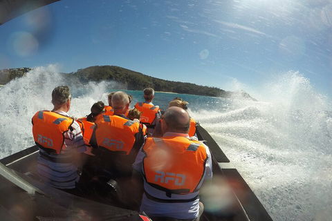 Noosa Thriller - 500hp Ocean Adventure Ride - Accommodation Port Hedland 3