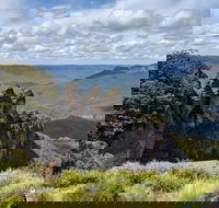 Blue Mountains Private Tour - wild kangaroos waterfalls and The Three Sisters - Accommodation Port Hedland